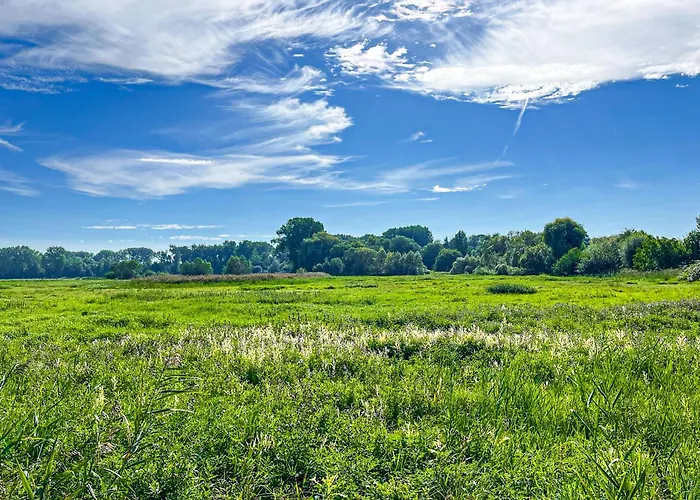 Haffblick 01 Boltenhagen (Ostseebad)